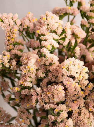 flower Image