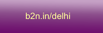 delhi logo